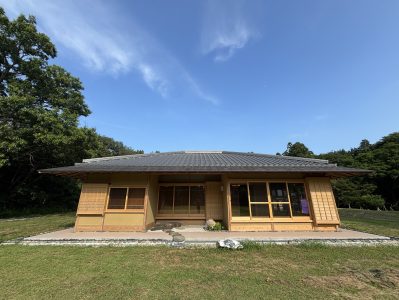 正信寺で出会った、”木の力”と”人の想い”