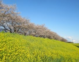 群馬県南部・中部で家を建てるなら知っておきたい地盤・気候・地域特性まとめ